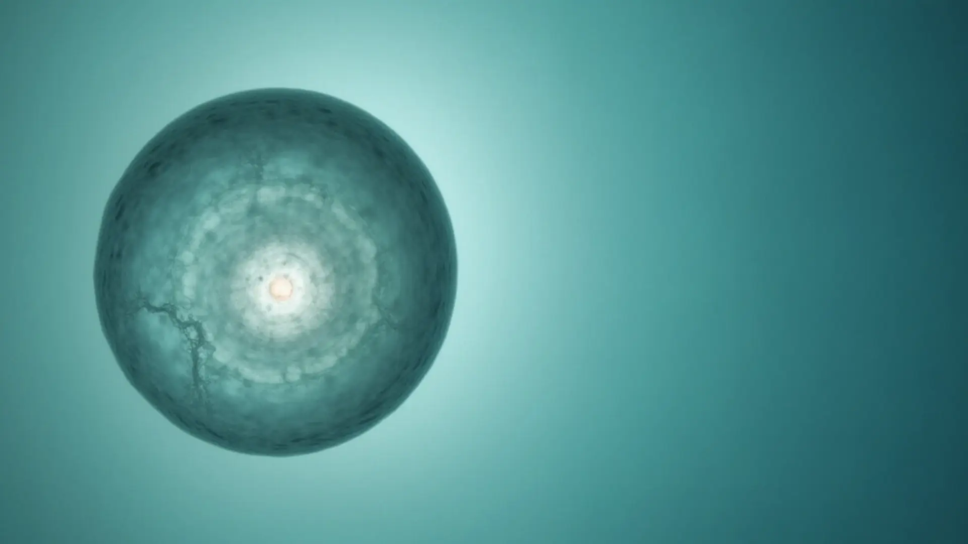 Microscopic ovarian cell illustration